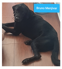 Bruno menjia