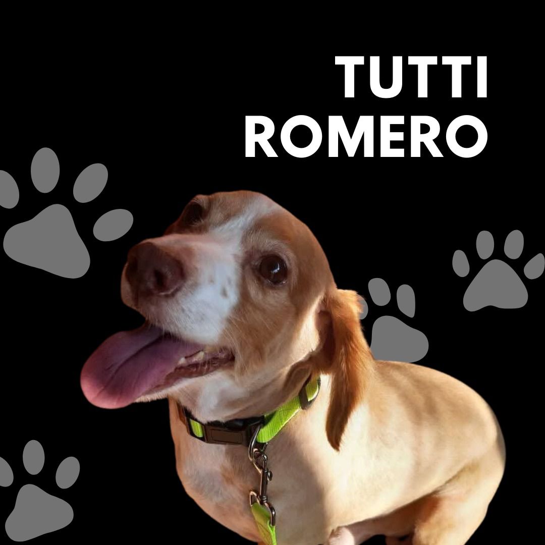 Tutti romero