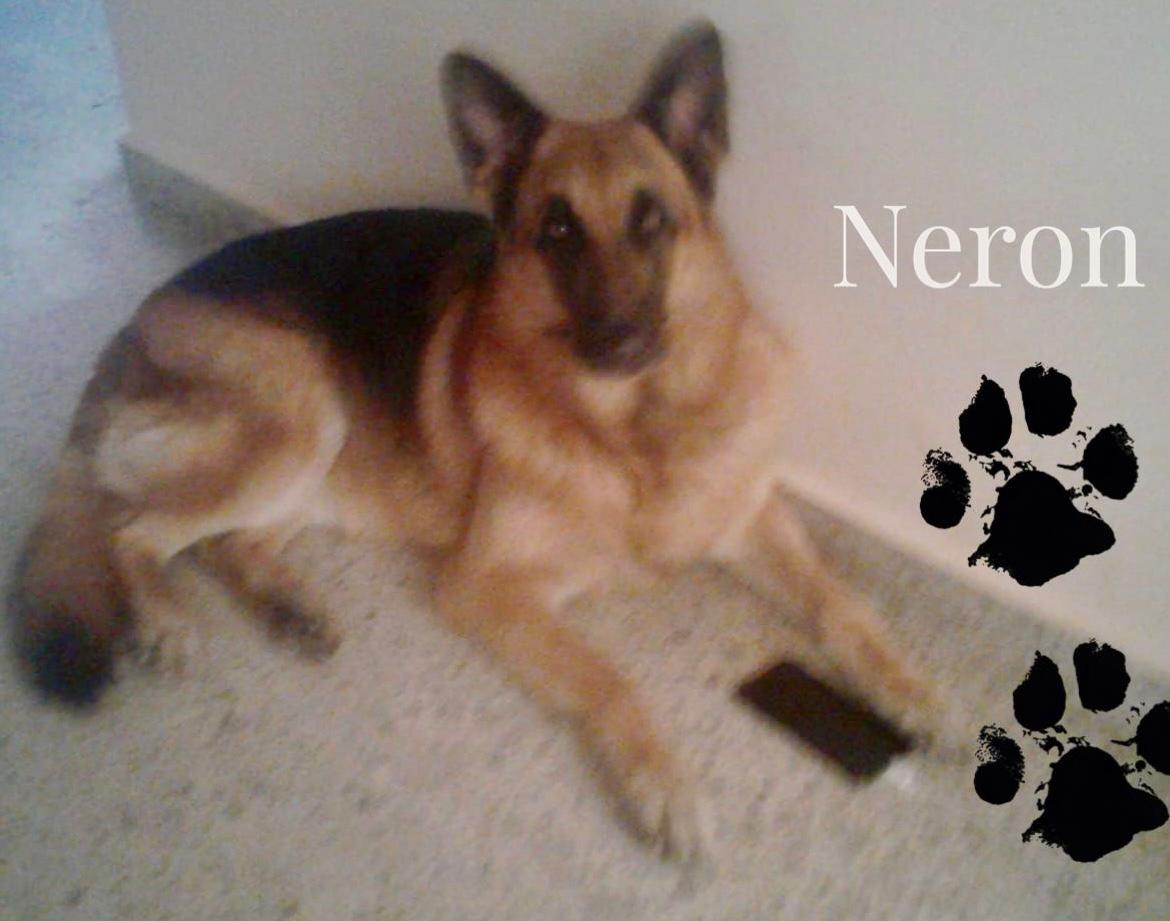 Neron duke hern%c3%a1ndez