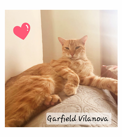 Garfield vilanova